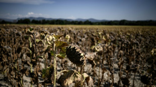 Climate 'countdown clock' report launched ahead of key UN talks