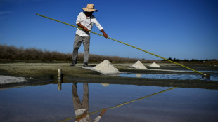 Sel: les producteurs de l'Atlantique mis à mal par le label bio