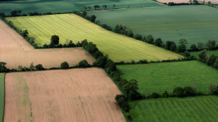 Le bois de haies, une énergie locale et une rémunération pour "l'effort" des agriculteurs