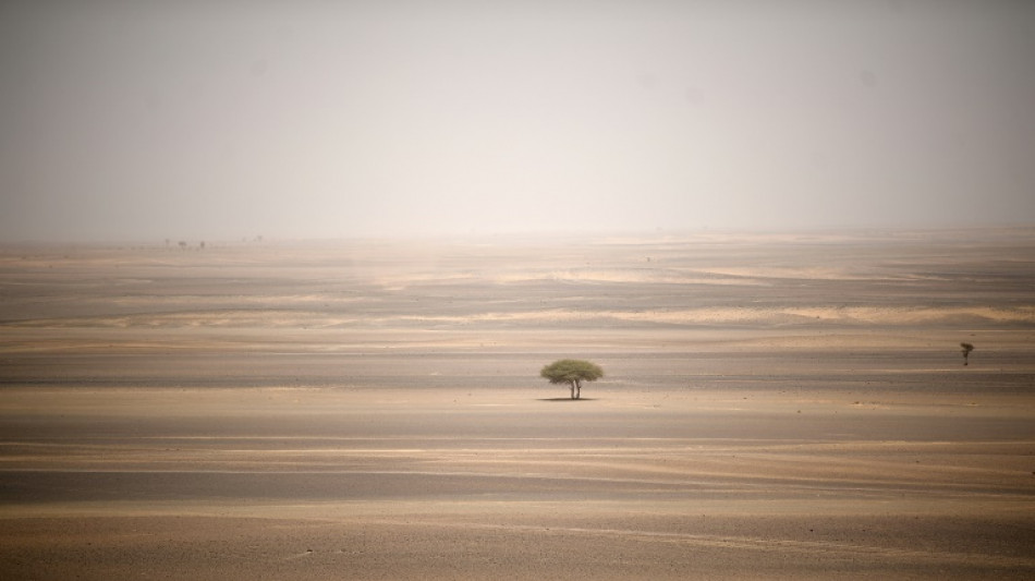 Extradition en vue pour des Français soupçonnés de vouloir "sacrifier" leur fils dans le Sahara