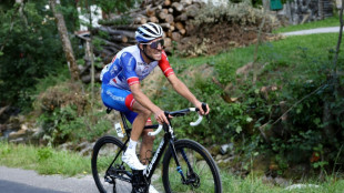 Tour de France: la journée de Pinot lui "donne des idées pour la suite"