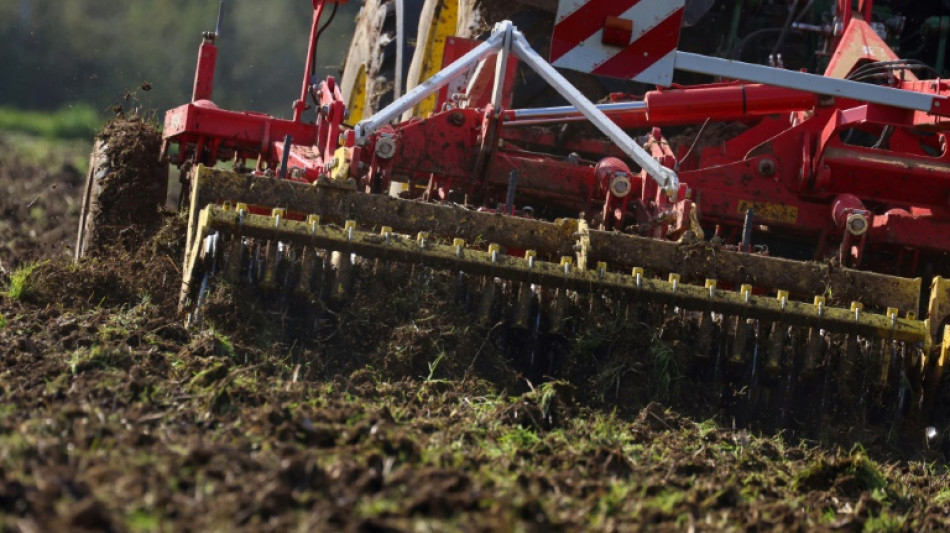 Glyphosate: des effets "sous-estimés" sur les vers de terre et les sols, selon une chercheuse