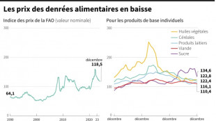 Les prix alimentaires mondiaux ont baissé de 13,7% en 2023, selon la FAO