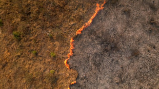 'Breathing smoke': Brazil's Pantanal wetlands hit by record fires 