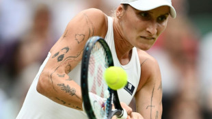 Wimbledon: Vondrousova, tchèque, tatouée, titrée