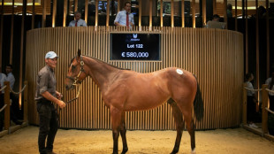 Ventes de yearlings records à Deauville à plus de 51 millions d'euros