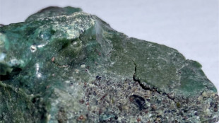 Scientists make 'disturbing' find on remote island: plastic rocks