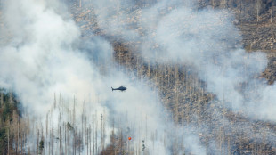 Allemagne: les pompiers face à un important feu de forêt 