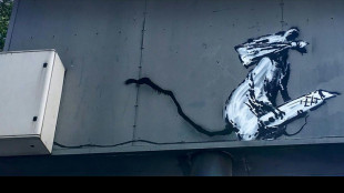 French court sentences man over Banksy stencil theft