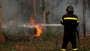 Más de 3.400 bomberos voluntarios combaten los incendios sin control en Chile