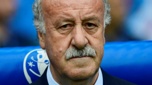 El exseleccionador español Del Bosque, a la cabeza de la comisión que tutelará la RFEF