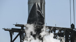 Foguete Starship da SpaceX, o maior do mundo, decola em seu quarto voo de teste