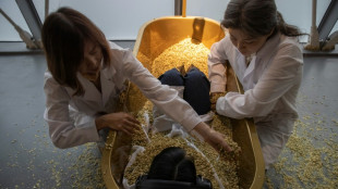 Bañeras llenas de flores o separar granos de arroz: la exposición "inmersiva" de Abramovic en Shanghái