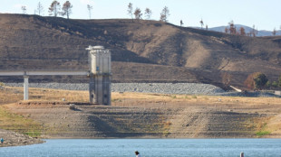 Sequía severa: autoridades del suroeste de EEUU sin acuerdo para reducir consumo de agua