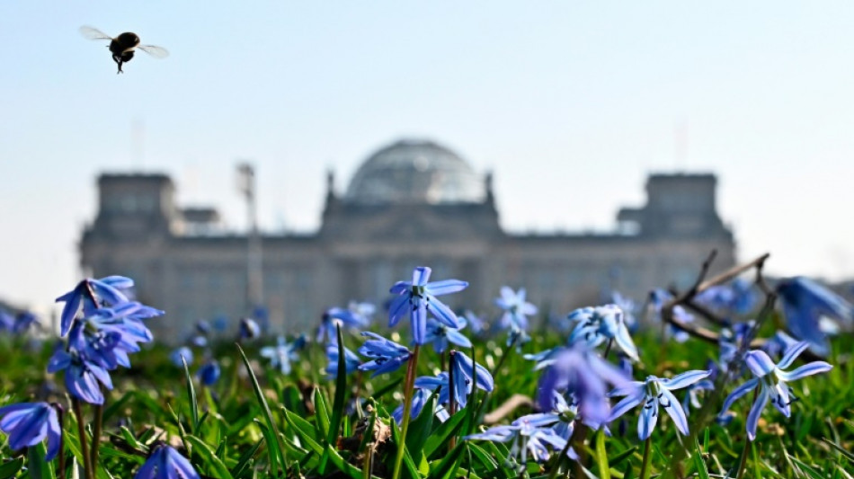 Bundestag berät über erleichterte Zuwanderung für Fachkräfte