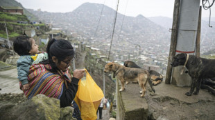 Perú, estrella de la gastronomía y país con mayor inseguridad alimentaria de Sudamérica