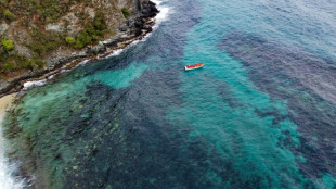 Un corail assassin menace récifs vénézuéliens et, au-delà, les Caraibes