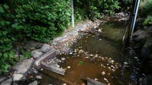 La Bretagne enregistre un "Triste record" avec de nombreux cours d'eau à sec l'été dernier 