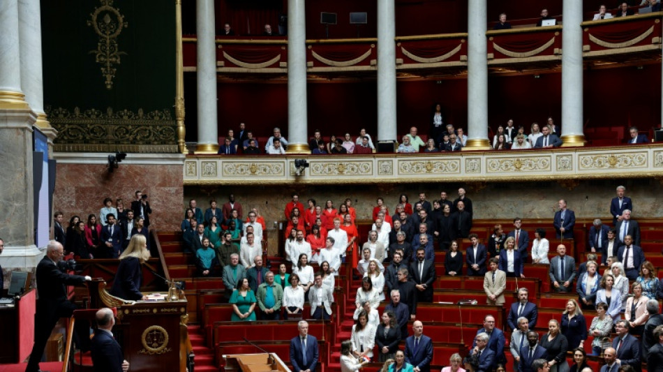 Deputados franceses se vestem com as cores da bandeira palestina