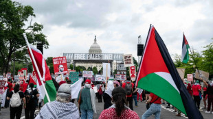 Miles protestan contra Netanyahu ante el Capitolio de EEUU
