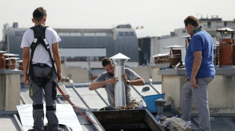 Paris zinc roofers seek elusive UNESCO heritage status