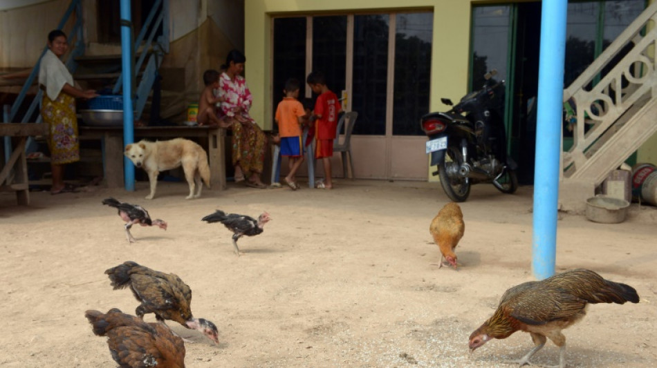 Camboya descarta la transmisión del virus de la gripe aviar entre humanos 