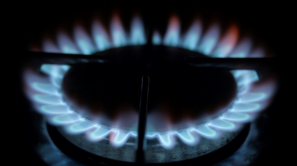 Francia dejó de recibir gas ruso por gasoducto, según el operador de red