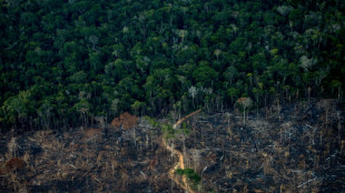 Bericht: Bergbau-Giganten wollen in Ureinwohner-Gebiete im Amazonas vordringen