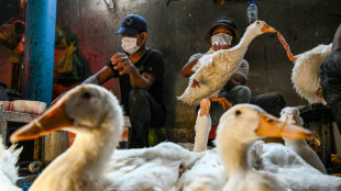 Cambodge: deuxième cas de contamination humaine à la grippe aviaire