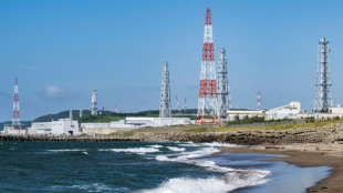 Au Japon, le retour en grâce du nucléaire pour se défaire du charbon