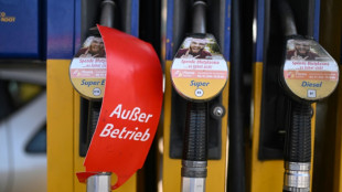 Alemania recurre al carbón ante la disminución del gas ruso