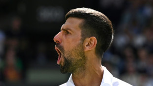 Djokovic backs Murray to return despite Wimbledon farewell