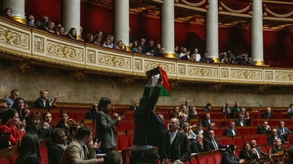 Parlamento francês sanciona deputado por mostrar bandeira palestina