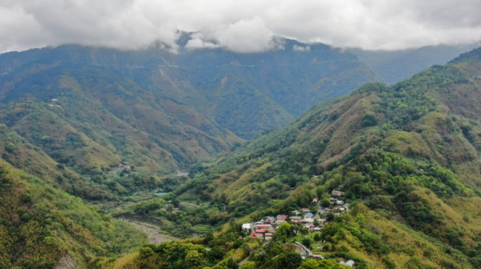 La sequía destroza la cosecha de bambú de una tribu de Taiwán