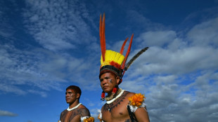 Indígenas pedem demarcação de terras em Brasília