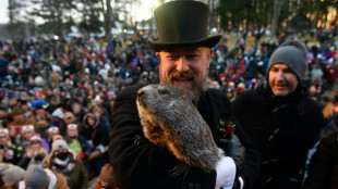 La marmota meteorológica predice otras seis semanas de invierno en Estados Unidos