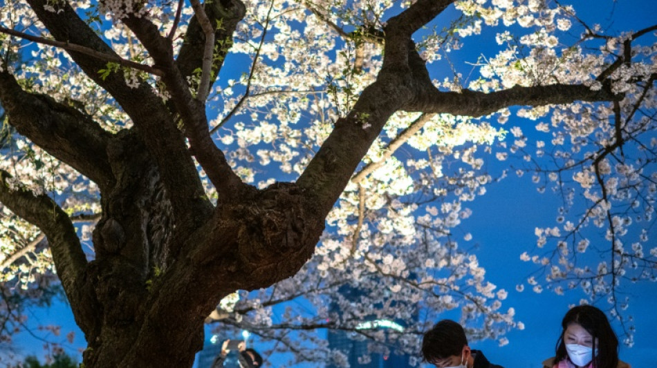 Le Japon veut mettre fin au rhume des foins