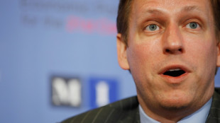 Investor Thiel legt Posten im Verwaltungsrat von Facebook-Mutter Meta nieder