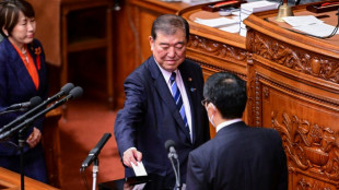 New Japan PM sweats for majority in snap election