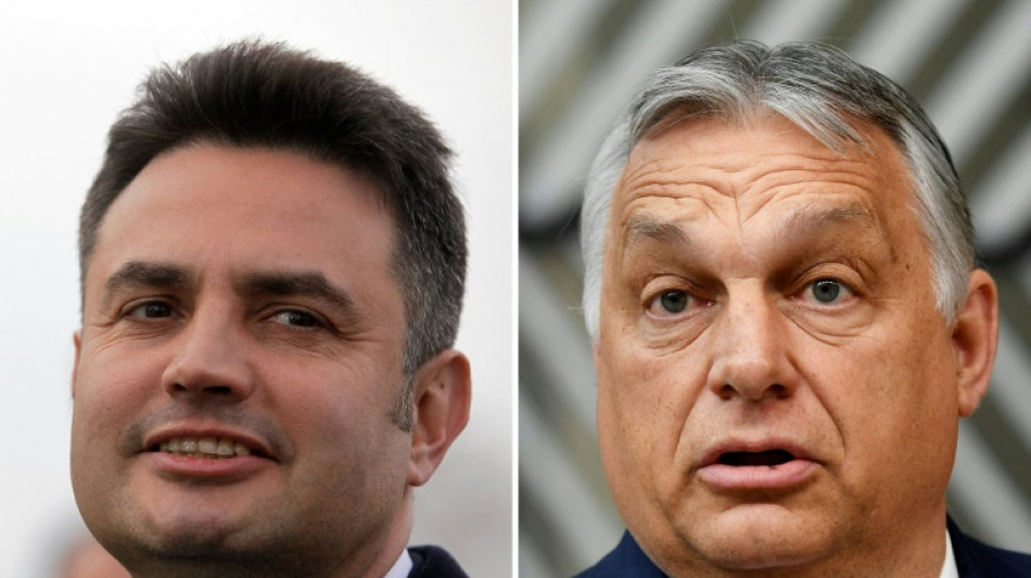 La Hongrie vote, Orban en quête d'un quatrième mandat