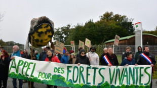 Creuse : manifestation d'opposants contre "l'industrialisation de la forêt"