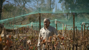 Sol, aridez y altura del desierto de Atacama en Chile en una copa de vino