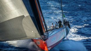 Voile: Andoo Comanche remporte la course Sydney-Hobart, sans battre le record