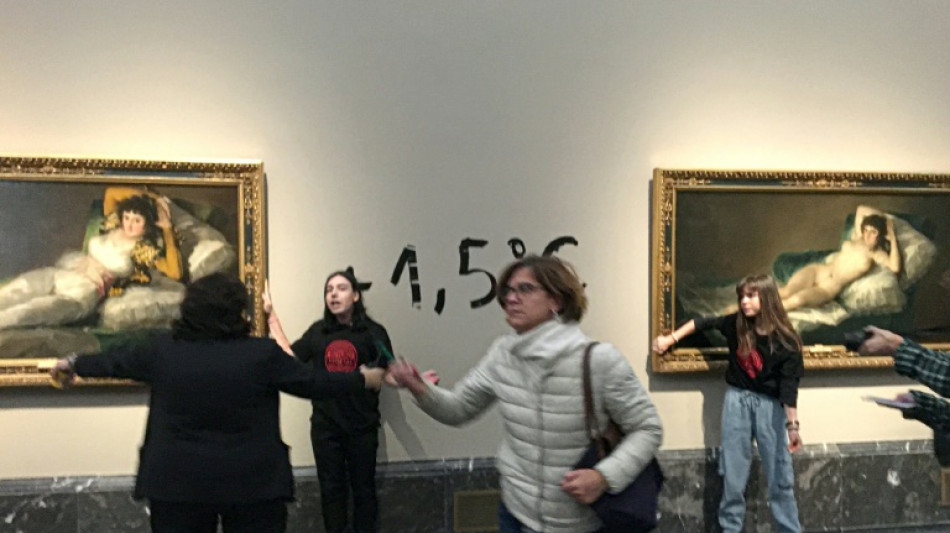 Climate activists glue hands to Goya frames at Spain's Prado