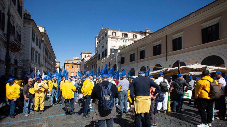 Apicoltura italiana a rischio collasso, tute gialle in piazza