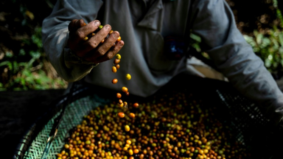 El agronegocio brasileño, fuente de pujanza y controversias