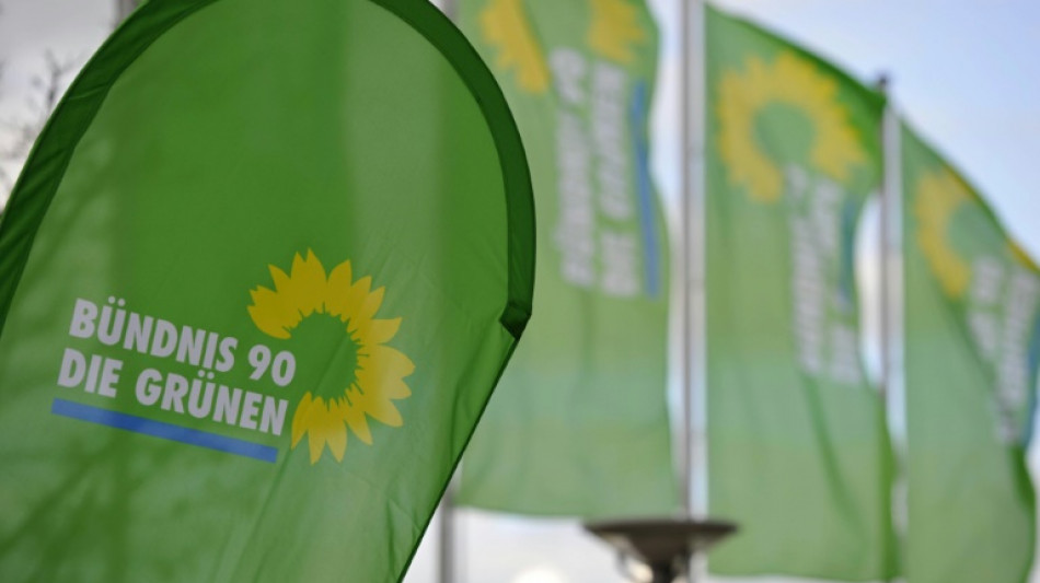 Grüne beraten auf kleinem Parteitag über Asyl und "klimaneutralen Wohlstand"