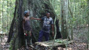 Au Gabon, un village veut sauver sa forêt sacrée de l'exploitation forestière