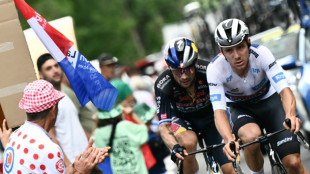 Tour de France: Evenepoel-Roglic, duel pour une place au soleil