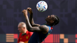 Mondial: Leao encore en salle d'attente avec le Portugal